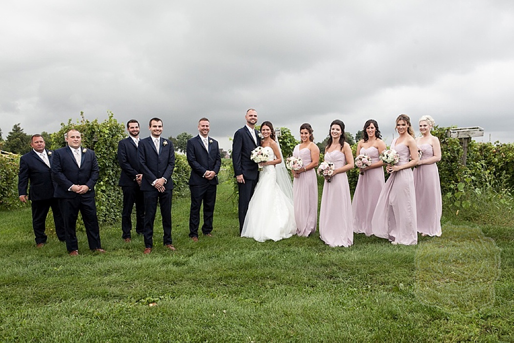 acquaviva winery wedding in maple park illinois